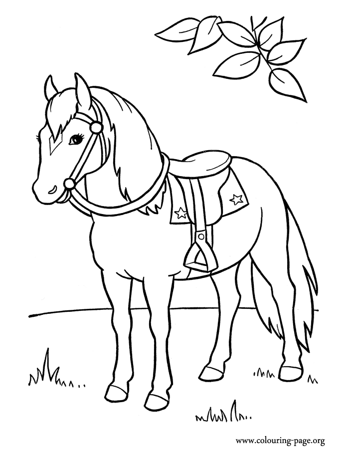 Horses - An elegant horse coloring page
