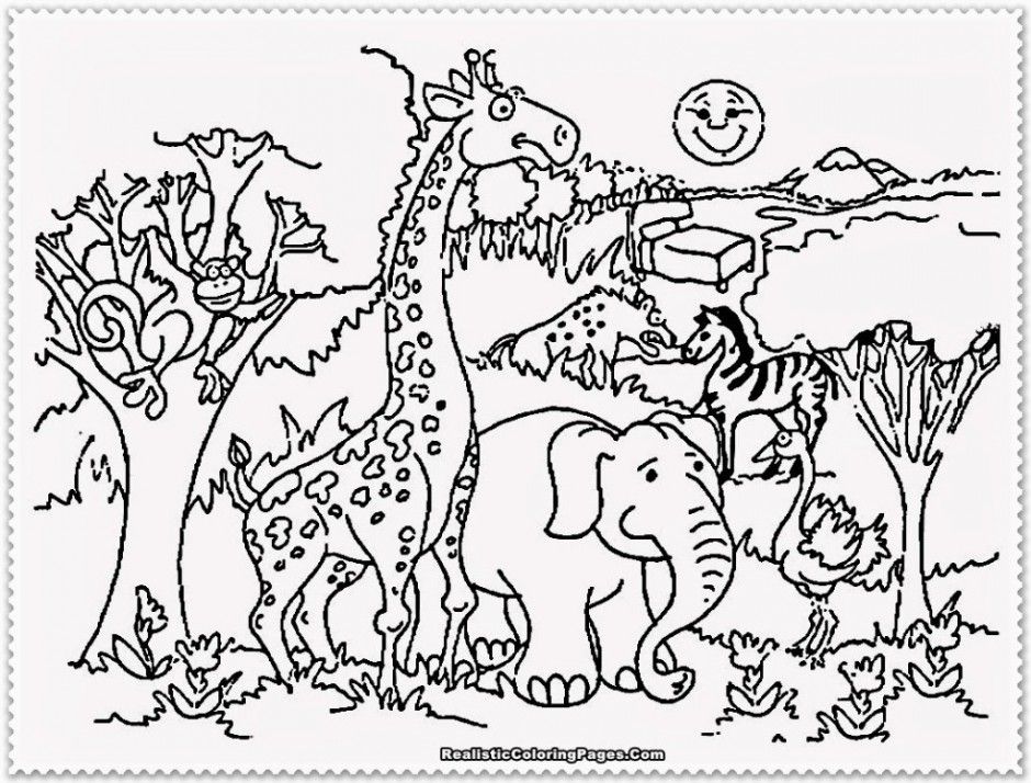 Zoo Coloring Pages Peter Rabbit Hagio Graphic Peter Rabbit 255645