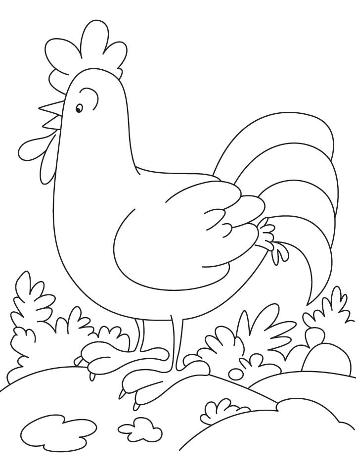 cartoon rooster Colouring Pages (page 2)