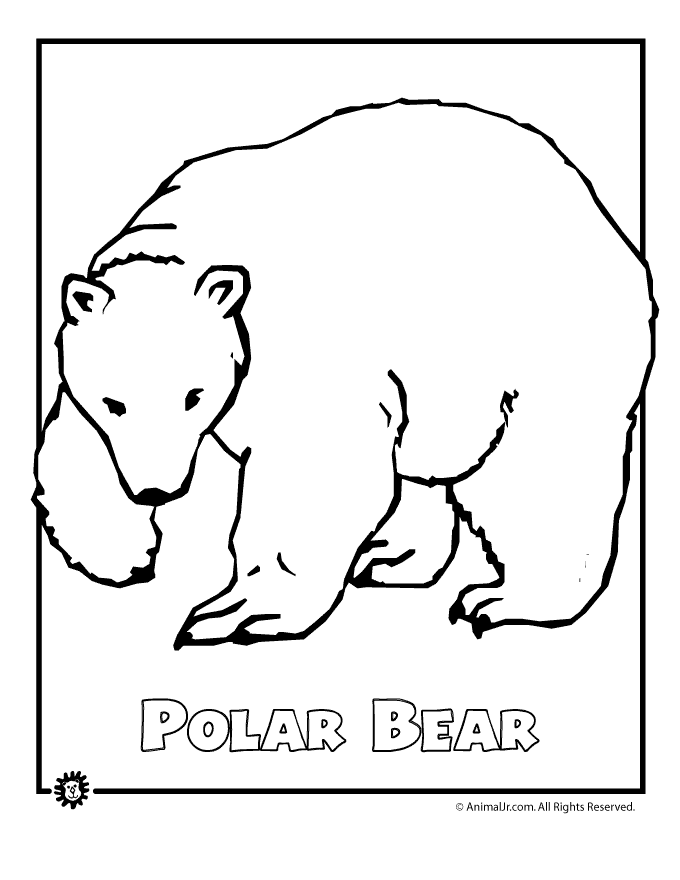 Polar Bear Coloring Pages To Print/page/140 | Printable Coloring Pages