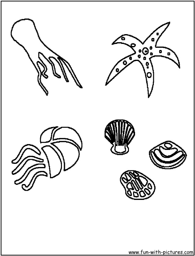 Sea Animals Colouring Pages Ocean Coloring Tattoo Page 4 62676 Sea