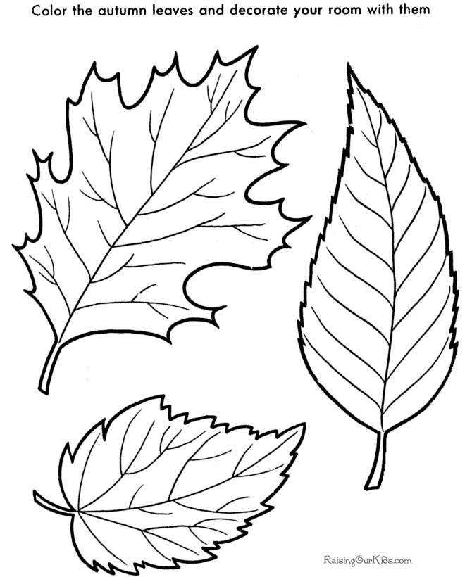 Leaves | Drawings & Patterns