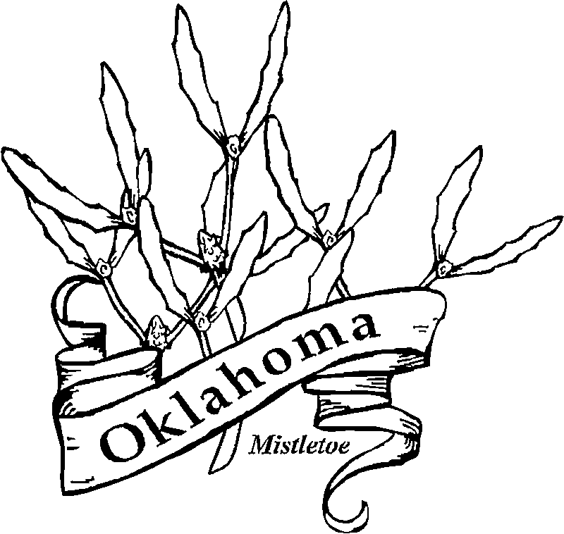 50 State Flowers Coloring Pages for Kids