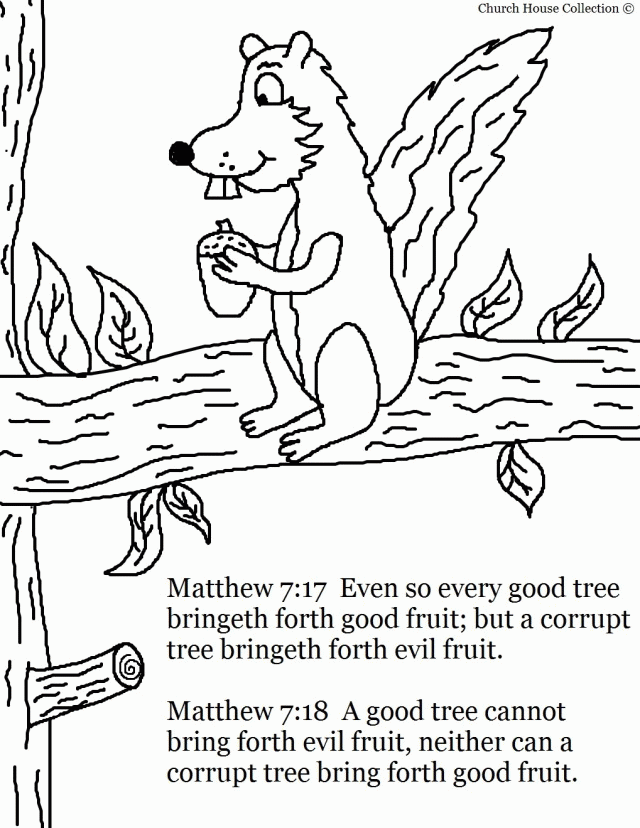 Autumn Tree Coloring Pages Fall Coloring Sheets For Kids Preschool