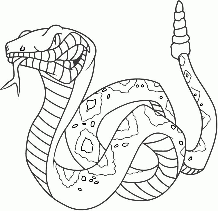 Angry Rattlesnake Coloring Online | Super Coloring