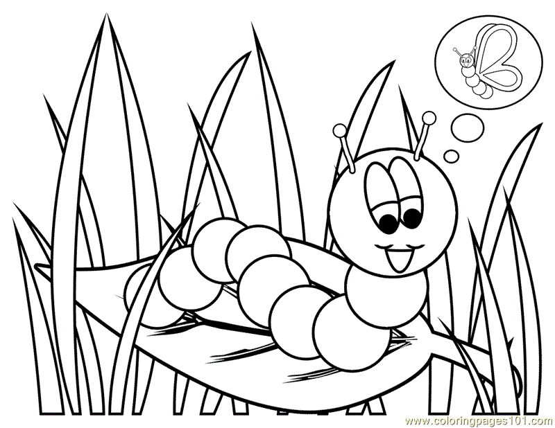 Caterpillar Coloring Page - Free Coloring Pages For KidsFree
