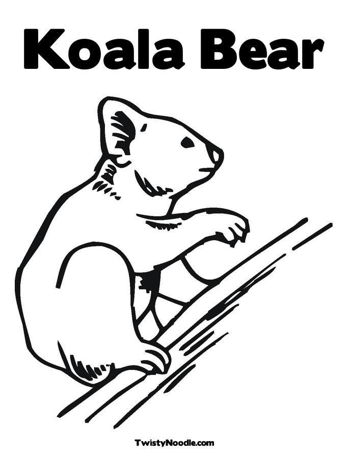koala face Colouring Pages