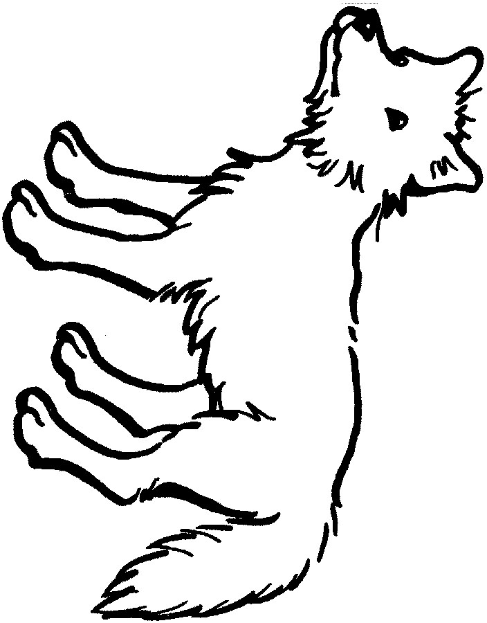coyote coloring pages 2014