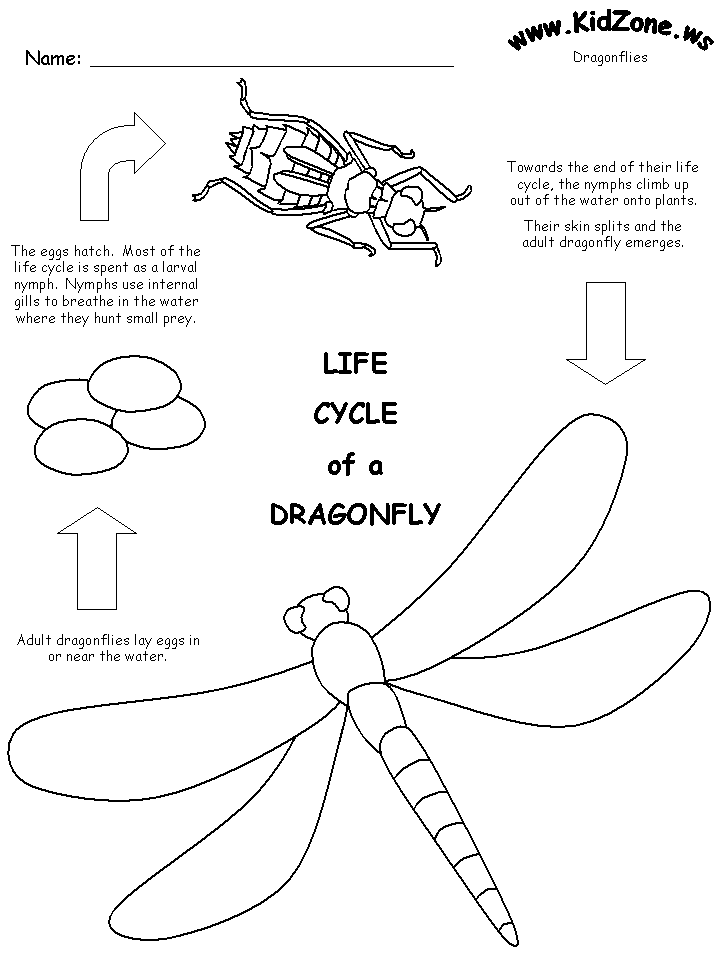 Dragonfly Coloring Pages 85 | Free Printable Coloring Pages