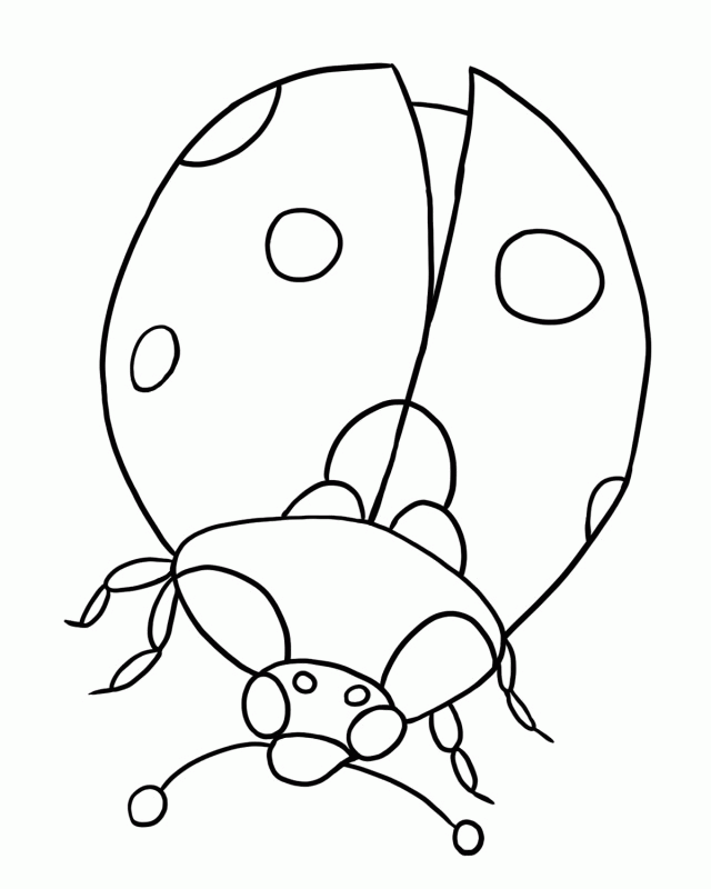 Simple Lady Bug Coloring Page | Laptopezine.