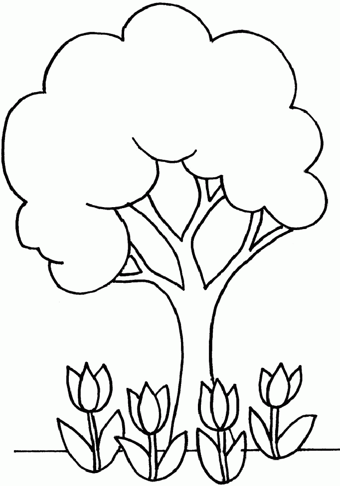 Little Tree And Flowers Coloring Pages - Trees Coloring Pages