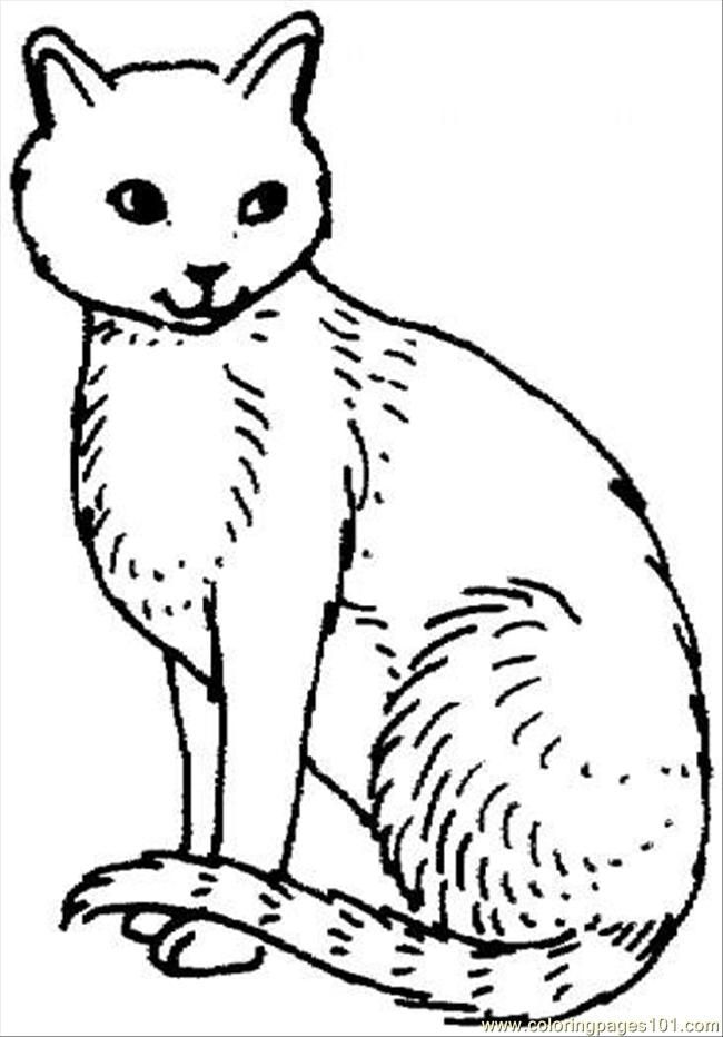 Coloring Pages Cat 21 Coloring Page (Mammals > Cats) - free
