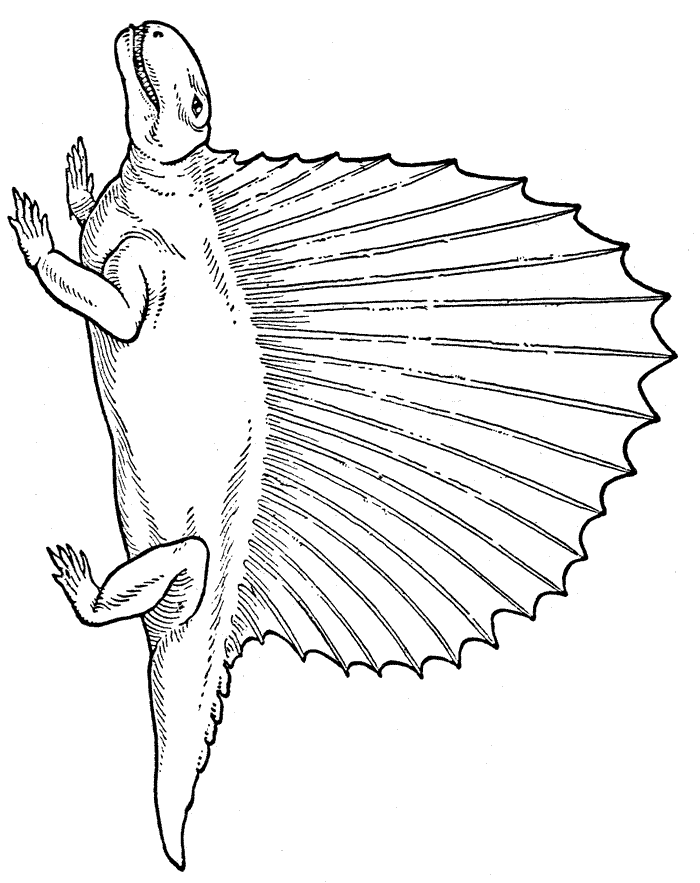 Dinosaur Coloring Pages (13) - Coloring Kids