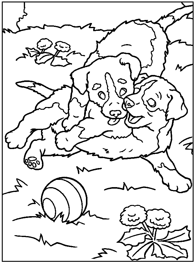 Dog Coloring Pages 111 271241 High Definition Wallpapers| wallalay.