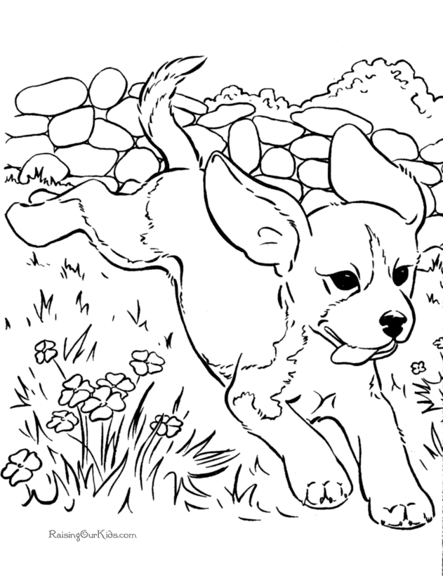 Free printable dogs coloring pages 102