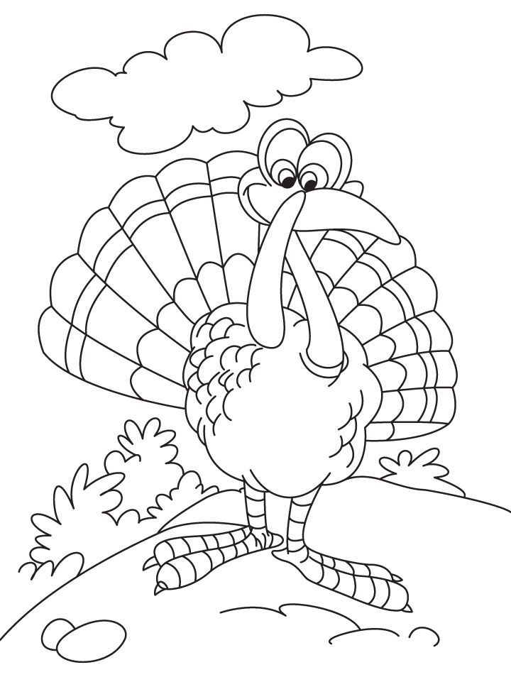 Thanksgiving turkey coloring page | Download Free Thanksgiving
