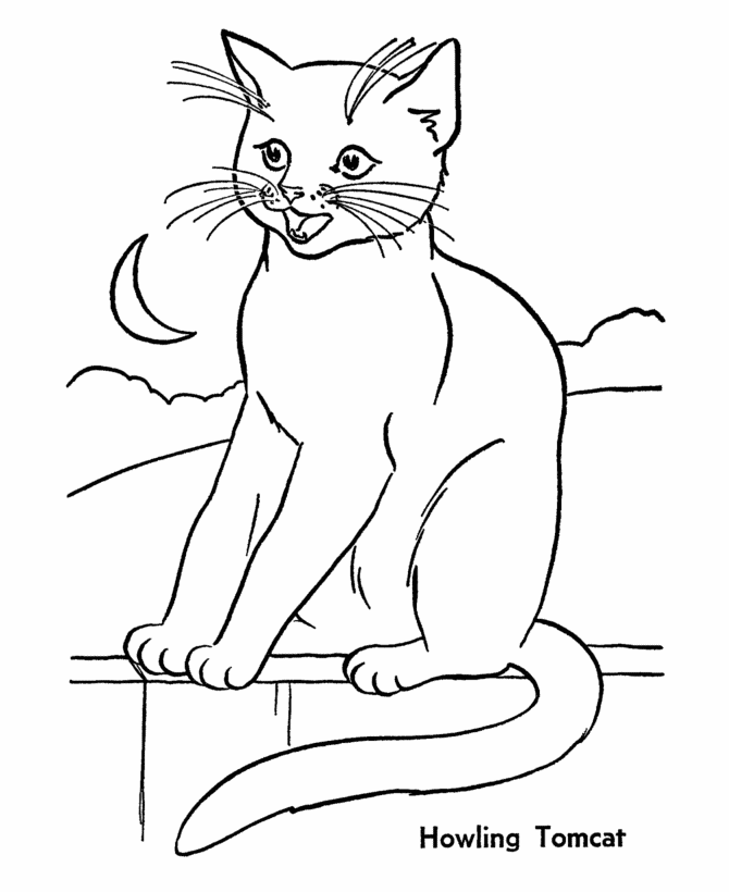 Print And Coloring Page Cat For Kids | Coloring Pages