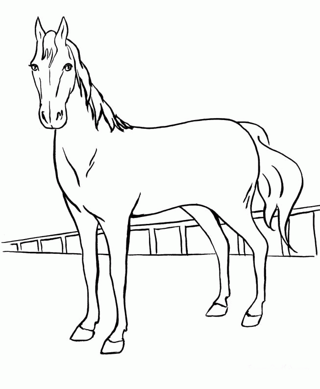 Male Horse Was Skip Coloring Pages - Horse Coloring Pages : Girls