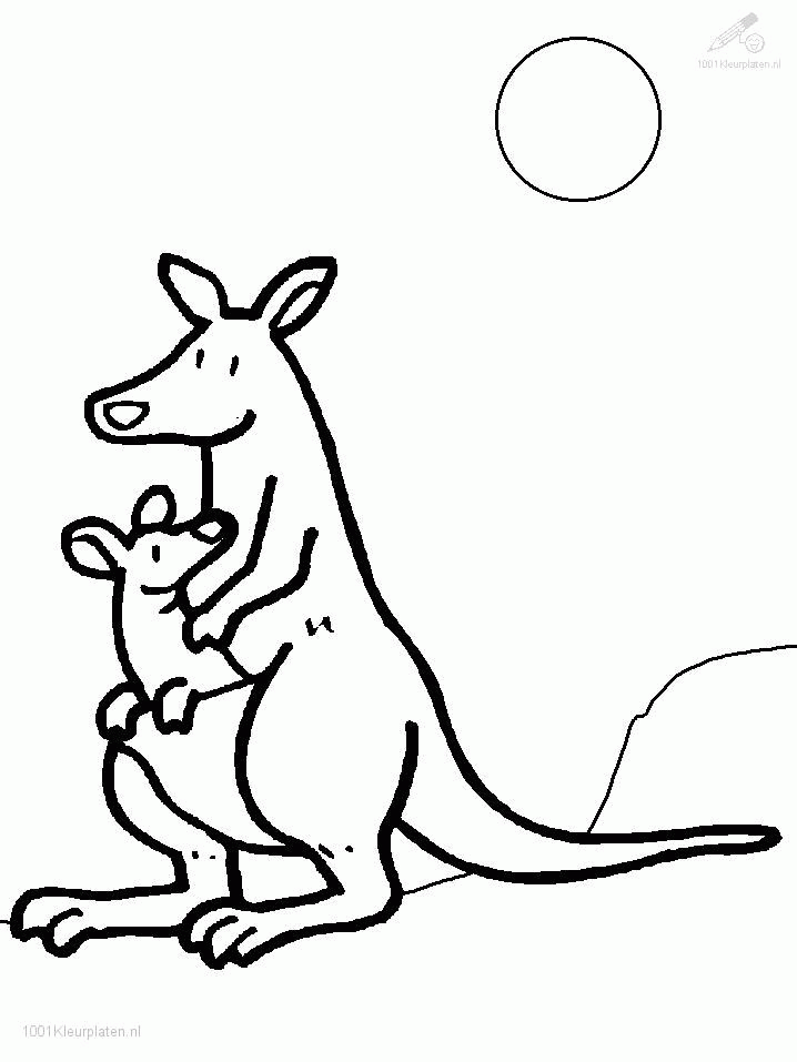 printable Kangaroo Coloring Pages for Kids | Great Coloring Pages