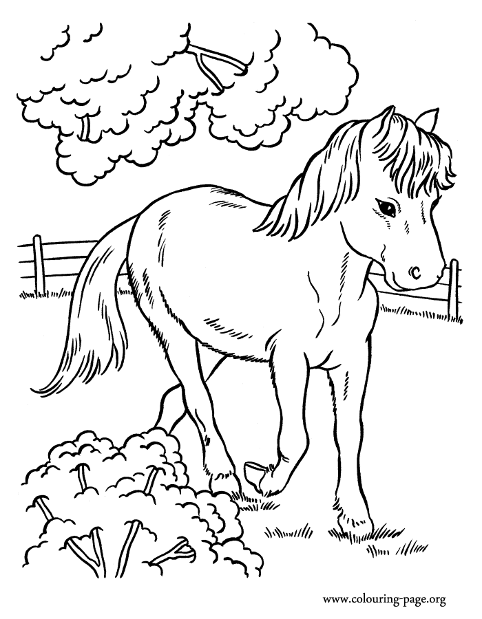 Horses - A cute horse running in the farm coloring page