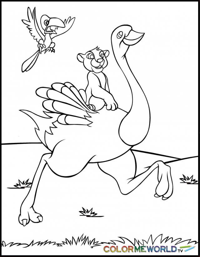 Simba Coloring Page 282794 Ostrich Coloring Page