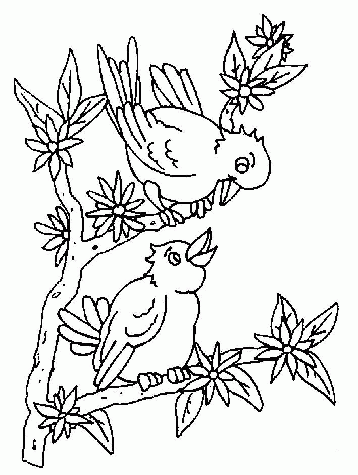 Little Bird Coloring Page Book