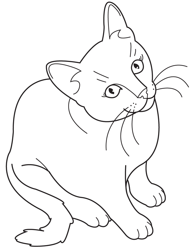 realistic cat coloring pages | Coloring Picture HD For Kids
