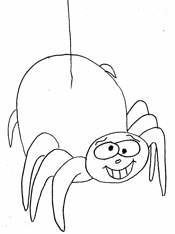 Spider Animals Coloring Pages & Coloring Book