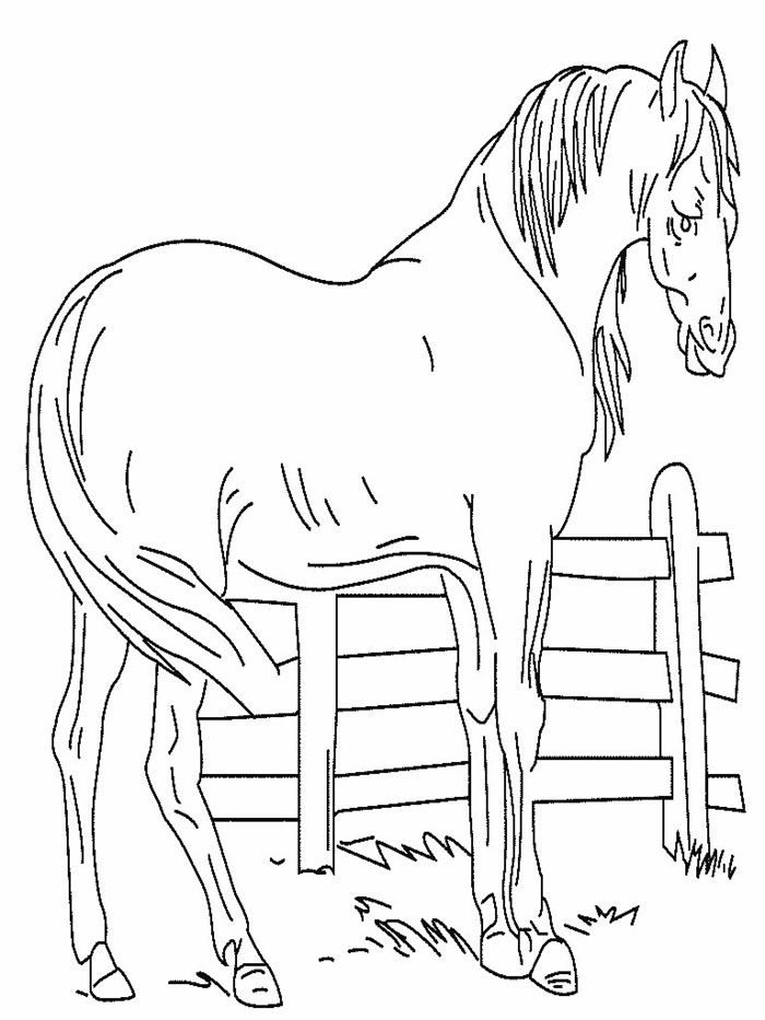 Horse coloring pages | FREE coloring pages | #30 Free Printable