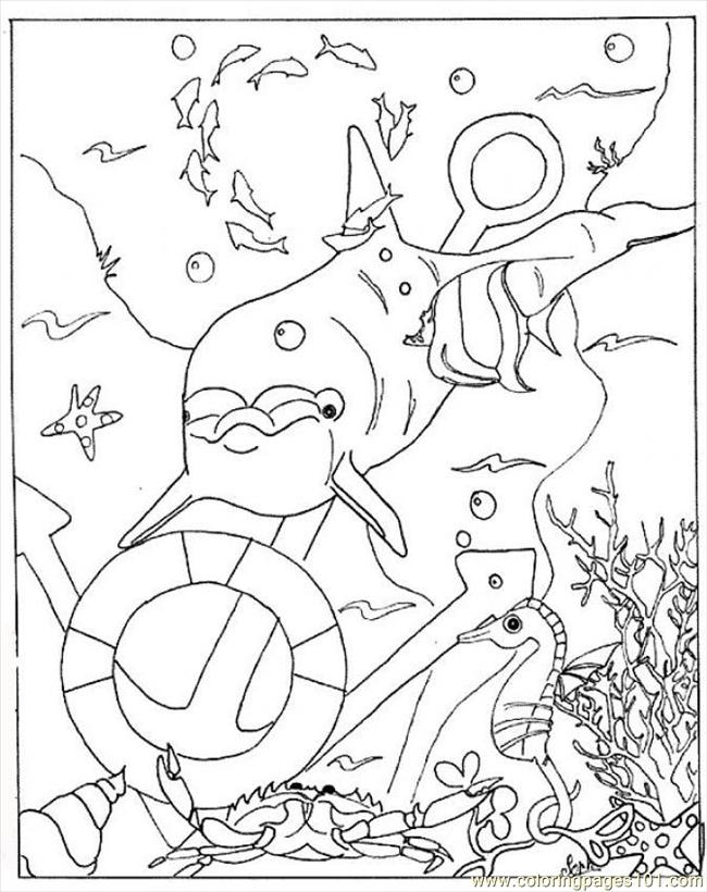 Coloring Pages Sea Bed Source Ll3 (Mammals > Dolphin) - free