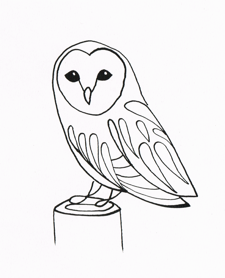Barn Owl Line Art Images & Pictures - Becuo