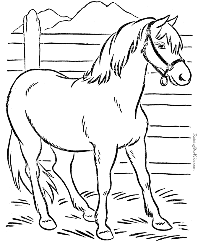 Animal coloring page of horse for kids | coloring pages