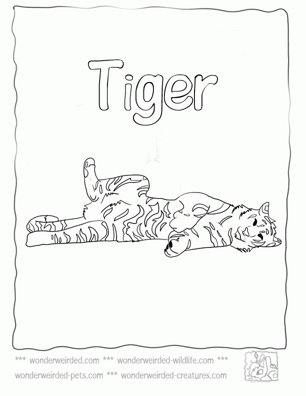 Tiger Coloring Pages,Echo