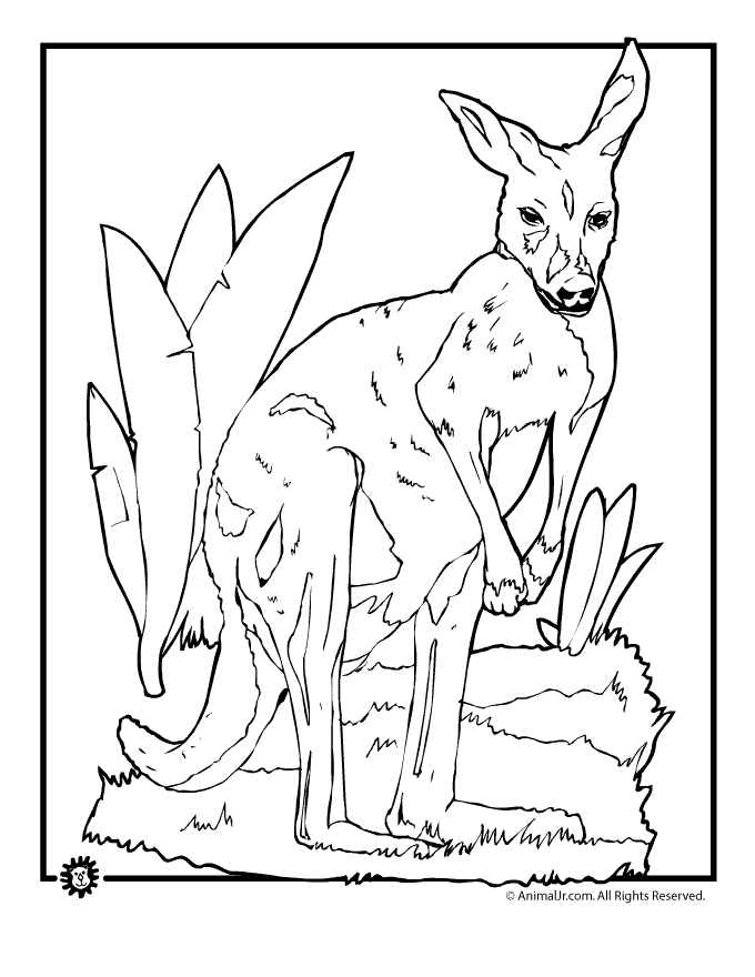 yohoow Colouring Pages (page 2)