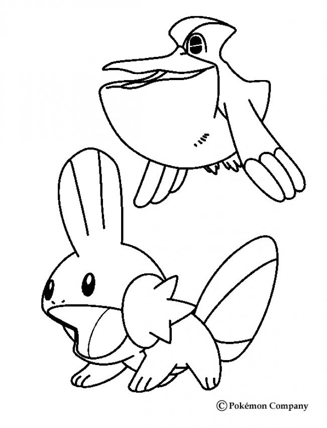 POKEMON BATTLES coloring pages - Mudkip and Pelipper