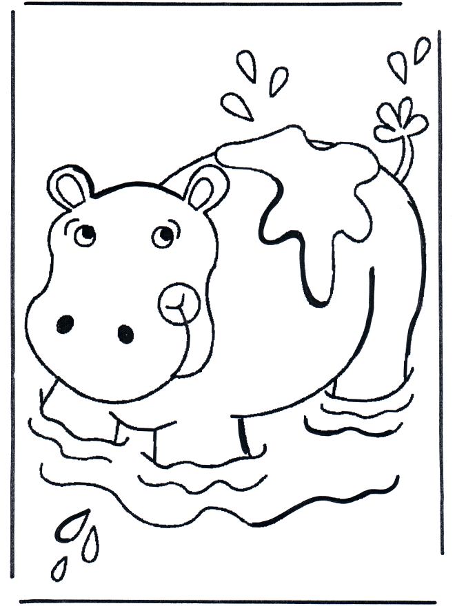 Little hippo 3 - Animals