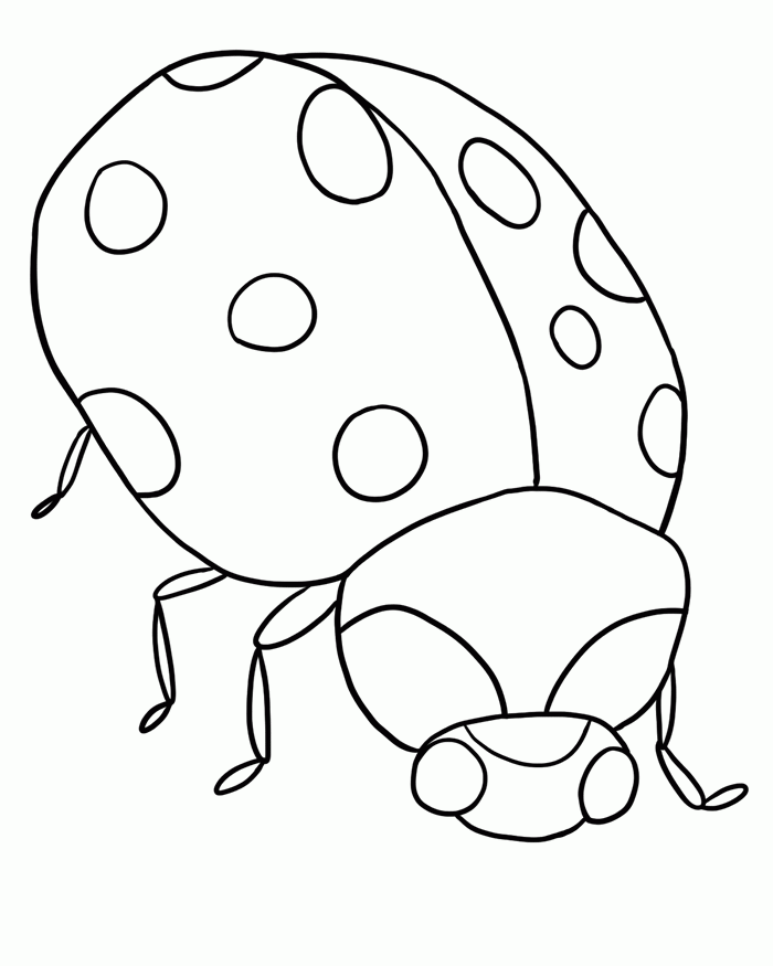 Bug Coloring Page | Coloring Pages