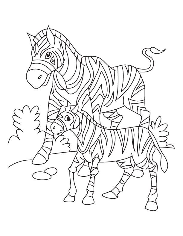 Zebra with its Baby Coloring Pages for Kids | Coloring