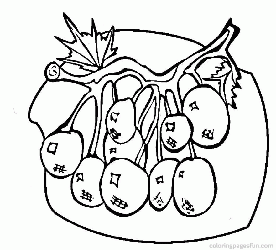 Blueberries Coloring Pages | Free Printable Coloring Pages