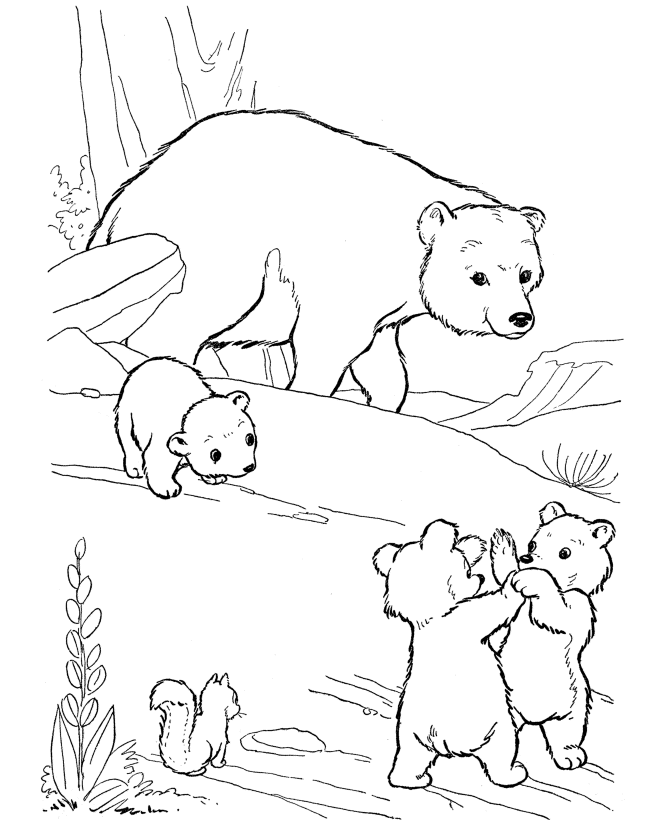 Wild Animal Coloring Page - smilecoloring.com