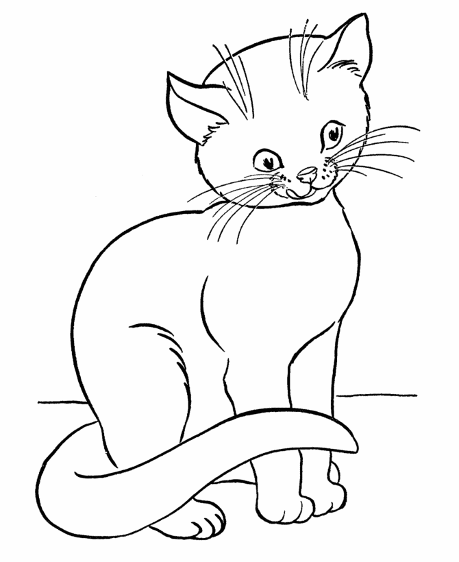 color Cat coloring pages for kids | Great Coloring Pages