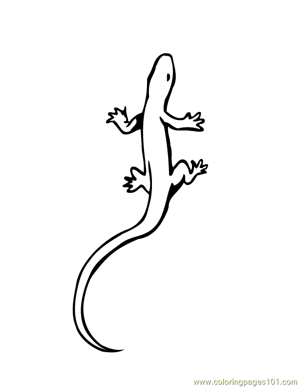 Coloring Pages Lizard (Reptile > Lizard) - free printable coloring
