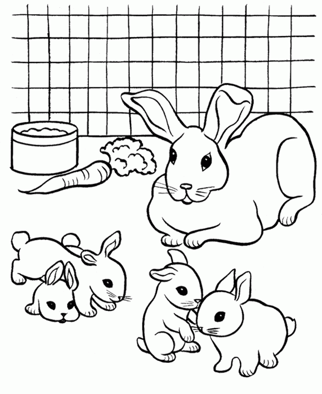 pet the rabbit Colouring Pages