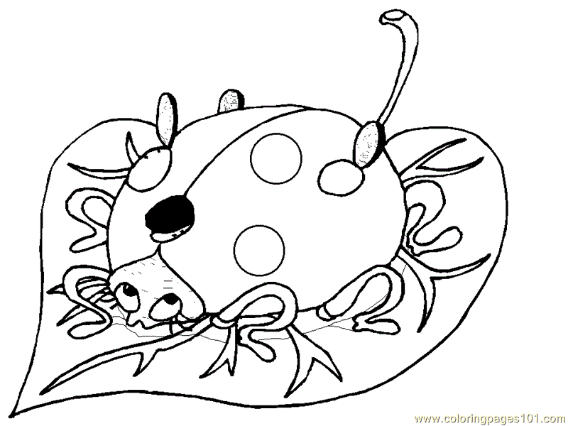Ladybug Coloring Pages - Free Coloring Pages For KidsFree Coloring