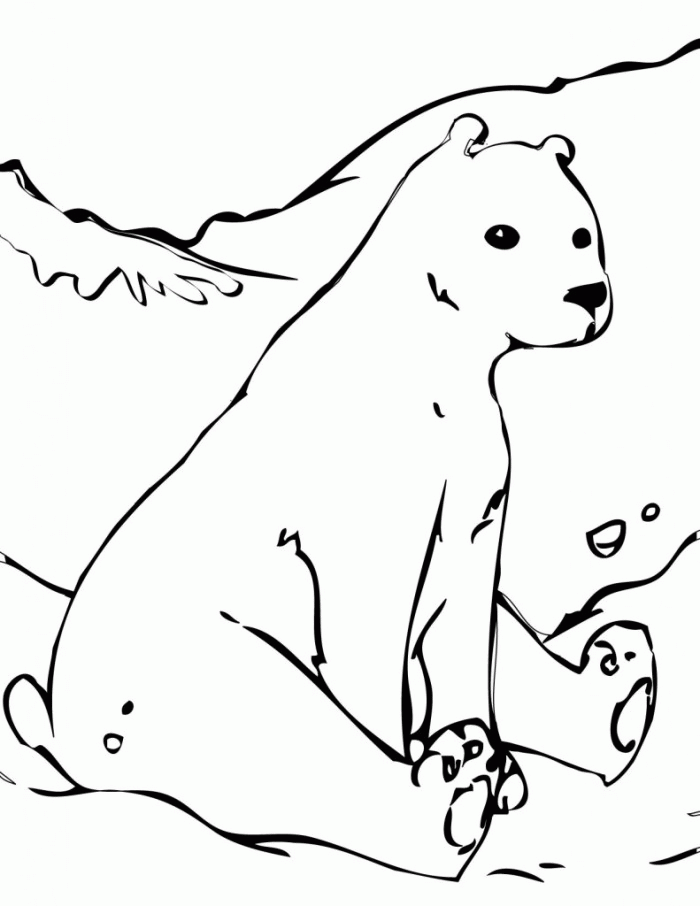 Polar Bear Coloring Page Educations | 99coloring.com