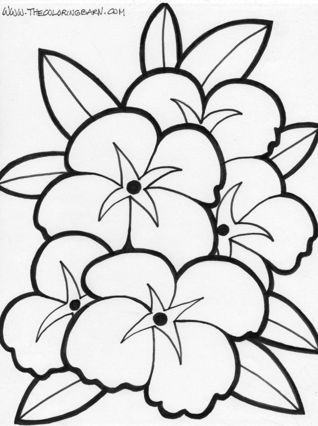 Flower Coloring Pages Flower Printable Coloring Pages Printable