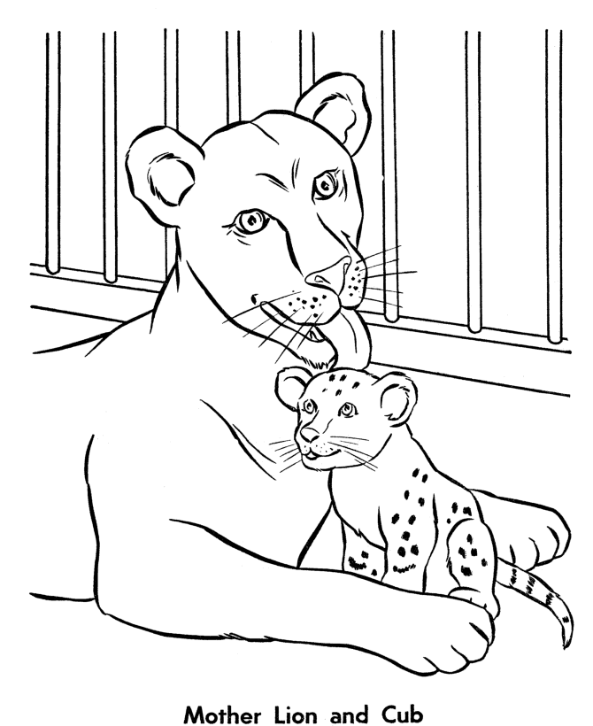 Coloring Pages Zoo Animals - Free Printable Coloring Pages | Free