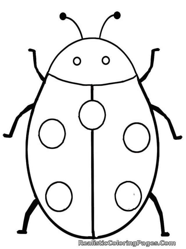 Lady Bug Insect Coloring Pages To Print | Laptopezine.