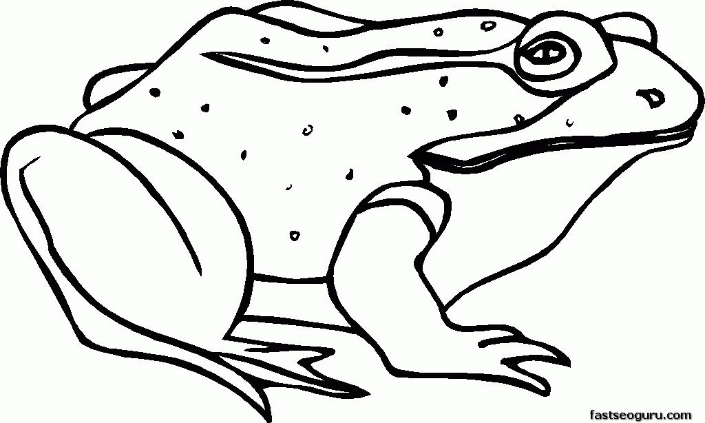 frog-coloring-pages-for-kids-