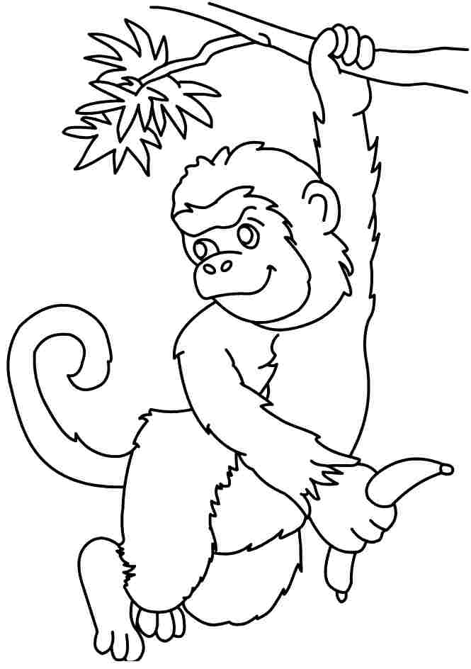 monkey for little kids Colouring Pages